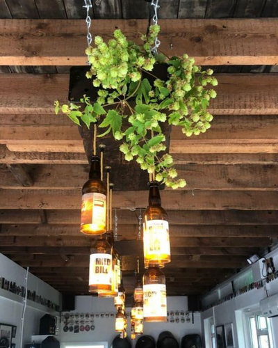 Ceiling of the Micropub with the hanging beer bottle lights